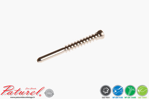 PATUREL BAR TURNING - Manufacture of 316L stainless steel medical screws
